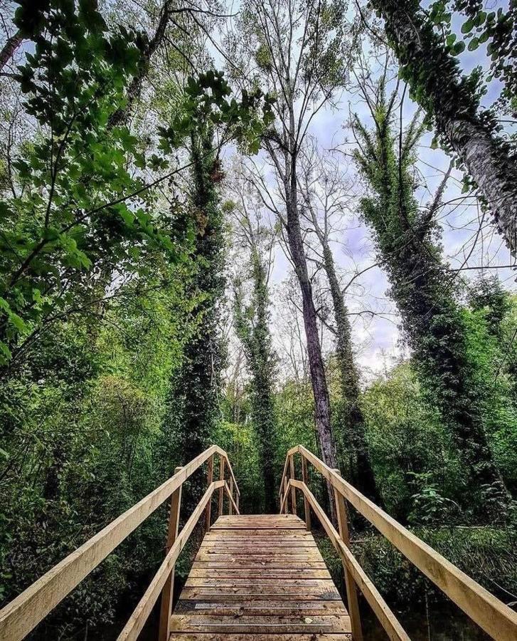Gite Du Parc Des Mauves Meung-sur-Loire Zewnętrze zdjęcie